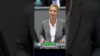 🔥 Alice Weidel Bundeswehr am Ende ⚔️🏛️ Durch welche Probleme wir verletzt sind ⚠️🇩🇪 [upl. by Marka]