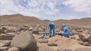 Atacama desert could hold secrets of life on Mars [upl. by Harriet607]