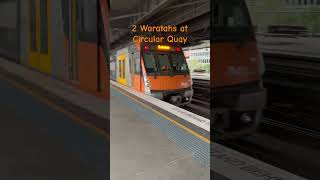 2 Waratahs at Circular Quay train sydneytrains [upl. by Etaner]