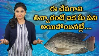 Warning  Stop eating Tilapia Fish  Tilapia Fish Benefits amp Dangers  Truth About Tilapia Revealed [upl. by Culbert]