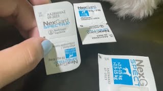 Nexgard Spectra for dogs ticks amp fleas Part 1 [upl. by Ahsinawt807]