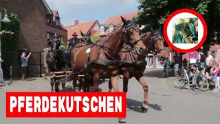 Pferdekutsche und Pferde  Kutsche fahren in Telgte [upl. by Eicyal178]