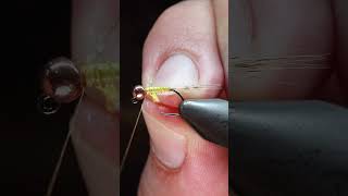 A Simple Yellow Olive Biot Nymph Fly flytying flyfishinglife shorts flyingbeast [upl. by Alyahc633]