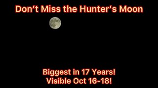 Hunter’s Moon Alert Biggest and Brightest in 17 Years—Visible for 3 Nights  Oct 1618 2024 [upl. by Oralla]