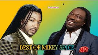 Mikey spice Best of Reggae lovers rock mix [upl. by Giovanni]