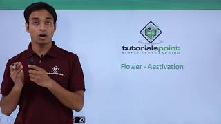 Class 11th – Flower – Aestivation  Morphology of Flowering Plants  Tutorials Point [upl. by Notgnirra]