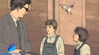 Spark Notes TV  Harper Lees To Kill a Mockingbird Summary [upl. by Yrian942]