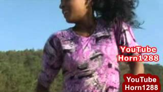 Best New Ethiopian Traditional Music [upl. by Ahseeyt]