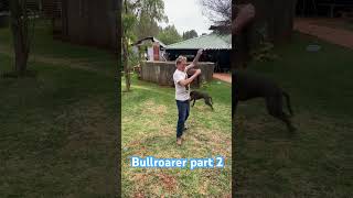 Part 2 of how a Bullroarer works indigenous [upl. by Keiko]