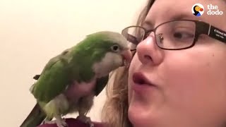 Woman Saves Parrot No One Would Take A Chance On  The Dodo [upl. by Huntington823]