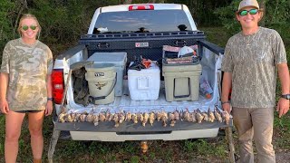 DAY VLOG Opening day of dove season [upl. by Yanal]