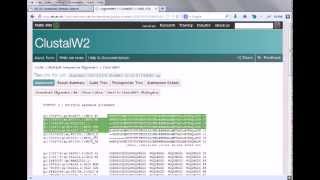 Bioinformatics practical 4 multiple sequence alignment using ClustalW [upl. by Yeliac]