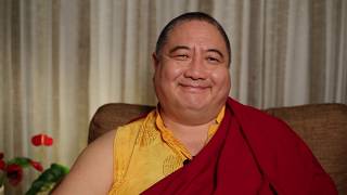 Rabjam Rinpoche The Shechen School [upl. by Larkin]