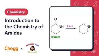 Introduction to the Chemistry of Amides Ft Professor Dave [upl. by Huoh]