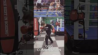 Gennady Golovkin liver shot madhooker boxing boxingtraining golovkin [upl. by Farlay]