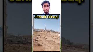 Jannat ul Baki Ka Khoob Surat Manzar Dekhiye  Mashallah  shorts [upl. by Gerdy]