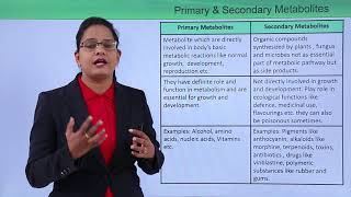 Class10th – Primary and Secondary Metabolites  Enzymes  Tutorials Point [upl. by Eng614]