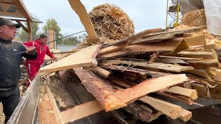 Can Huge Logs Really Become Tiny Wood Chips [upl. by Aicilihp]