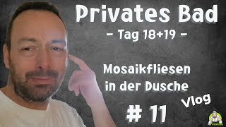 Privates Badezimmer  Tag 1819 Mosaikfliesen in der Dusche  Teil 11 [upl. by Elletsirk]