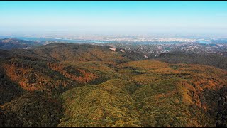 Fruška Gora National Park  the incredible beauty of nature in Serbia [upl. by Ydualc783]