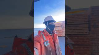 Cargo Loading In Sweden  Ship Vlog  Mr Sailor Ali mrsailorali sailor sailorlife merchantnavy [upl. by Naoh]