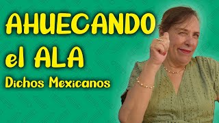 QUÉ significan los DICHOS MEXICANOS [upl. by Aleakim]