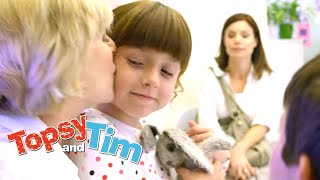 Lovely Mossy amp All Change  Topsy amp Tim Double episode 309310  HD Full Episodes  Shows for Kids [upl. by Trebo572]