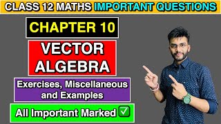 Chapter 10 Vector Algebra Important Questions  Class 12 Maths  All Exercises and Examples [upl. by Ferrick]