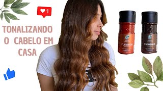 TONALIZANDO O CABELO COM FLAMINGO  RAPOSINHA DA KAMALEÃO COLOR [upl. by Teddi]