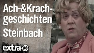 Ach und Krachgeschichten Erika Steinbach 2010  extra 3  NDR [upl. by Oned553]