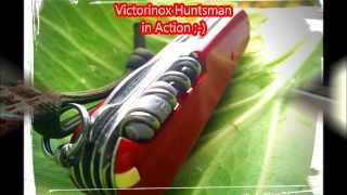 Victorinox Huntsman EDC in Action Like Macgyver [upl. by Nawud]