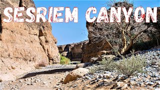 Sesriem Canyon in the NamibNaukluft Park Namibia southern Africa [upl. by Aloysia609]