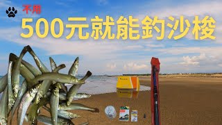 不用新台幣500元就能享受釣沙梭的樂趣釣2斤就能回本了心動不如馬上行動山狗大釣魚fishing台湾釣り遠投沉底灘釣沙梭 [upl. by Celestina810]