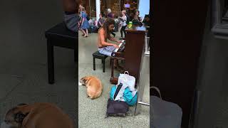 Captivating Homeless Mans Impromptu Piano Performance Mesmerizes Passengers at London Train Station [upl. by Paolo]