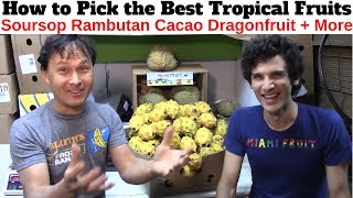 How to Pick the Best Soursop Cacao Rambutan amp Other Tropical Fruits [upl. by Ardnahc111]