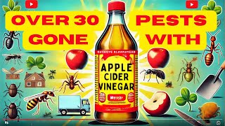 Over 30 Pests Gone with One Ingredient Apple Cider Vinegar Hacks [upl. by Anceline]