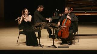 Weber Flute Trio in G minor Op 63 Emi Ferguson Julian Schwarz Peter Dugan [upl. by Nacim]