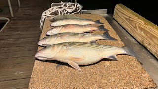 Fishing for dinner  lake Texoma striper fishing [upl. by Llorrad]