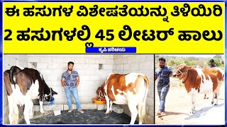 ಯೂಟ್ಯೂಬ್ ನಲ್ಲಿ ನೋಡಿ ಹಸುಗಳು ತಂದ 23 ವರ್ಷದ ಯುವಕ  hainugarike information in kannada  Dairy Farm [upl. by Breana]