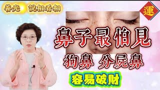 面相 狗鼻子愛面子，財運不穩定，東方人的破財鼻。 [upl. by Wanfried]