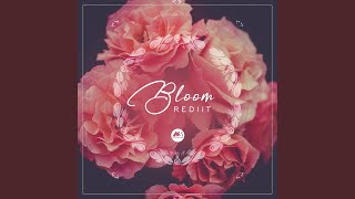 Bloom [upl. by Yllut]