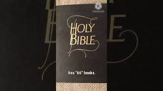 Catholic Church ADDED Books to the Bible bible catholic catholicchurch protestant shorts [upl. by Dermot]