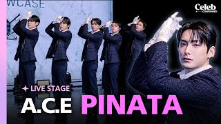 SHOWCASE ACE Intro  Recuerda recuerda  “PINATA” live stage [upl. by Ludba]