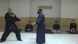 NINJUTSU TAIJUTSU COORDINATED BLOCKS amp STRIKES 2 [upl. by Nehr]