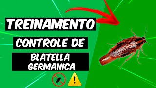 Controle de Blatella Germanica  Treinamento [upl. by Annauqal799]