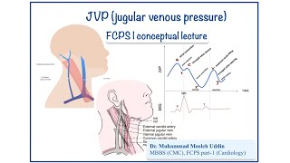 JVP jugular venous pressure  part 2 [upl. by Sucramraj]