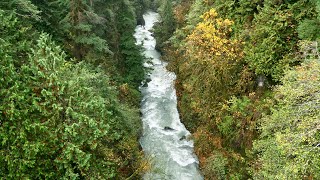 West Fork Humptulips River  Kayak [upl. by Lacim]