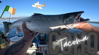 They’re Getting Bigger Puget Sound Salmon Fishing Marine Area 11 for Coho [upl. by Delwyn674]