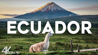 Top 10 Best Cities to Visit in Ecuador  Travel Video 2024 [upl. by Ettenig]