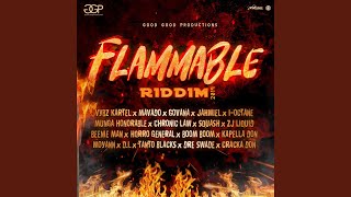 Flammable [upl. by Semaj]